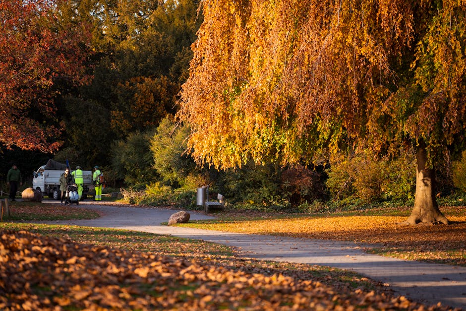A quiet urban park scene with a winding paved pathway bordered by leaf fallen ground and numerous mature trees with textured brown bark. In the foreground, a black metal bench with decorative armrests